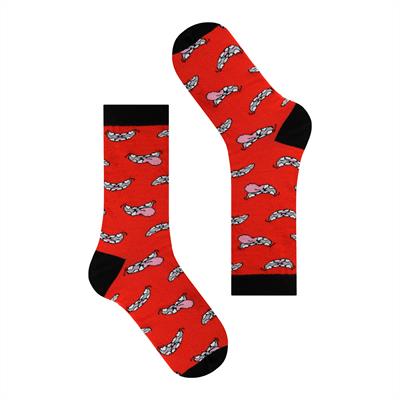 ZESTAW SKARPET Z CHWASTAMI 